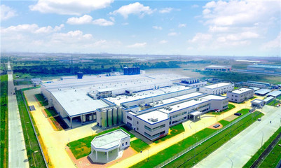 伊利攜手印尼，以科技守護紅樹林，共筑綠色未來